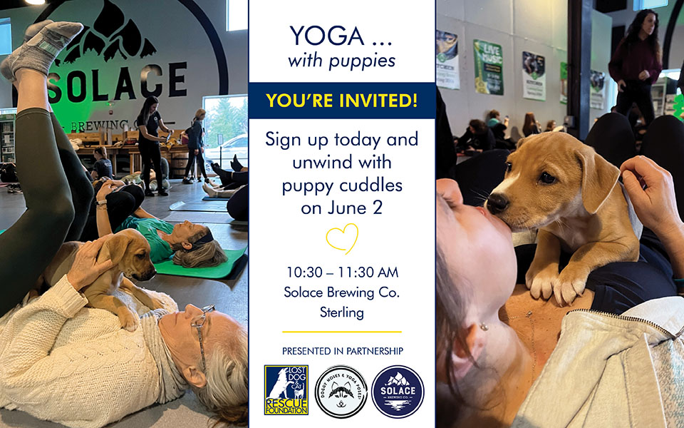 Reserve a place for your mat at Doggy Noses and Yoga Poses