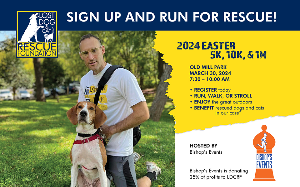 Sign up and run for rescue!