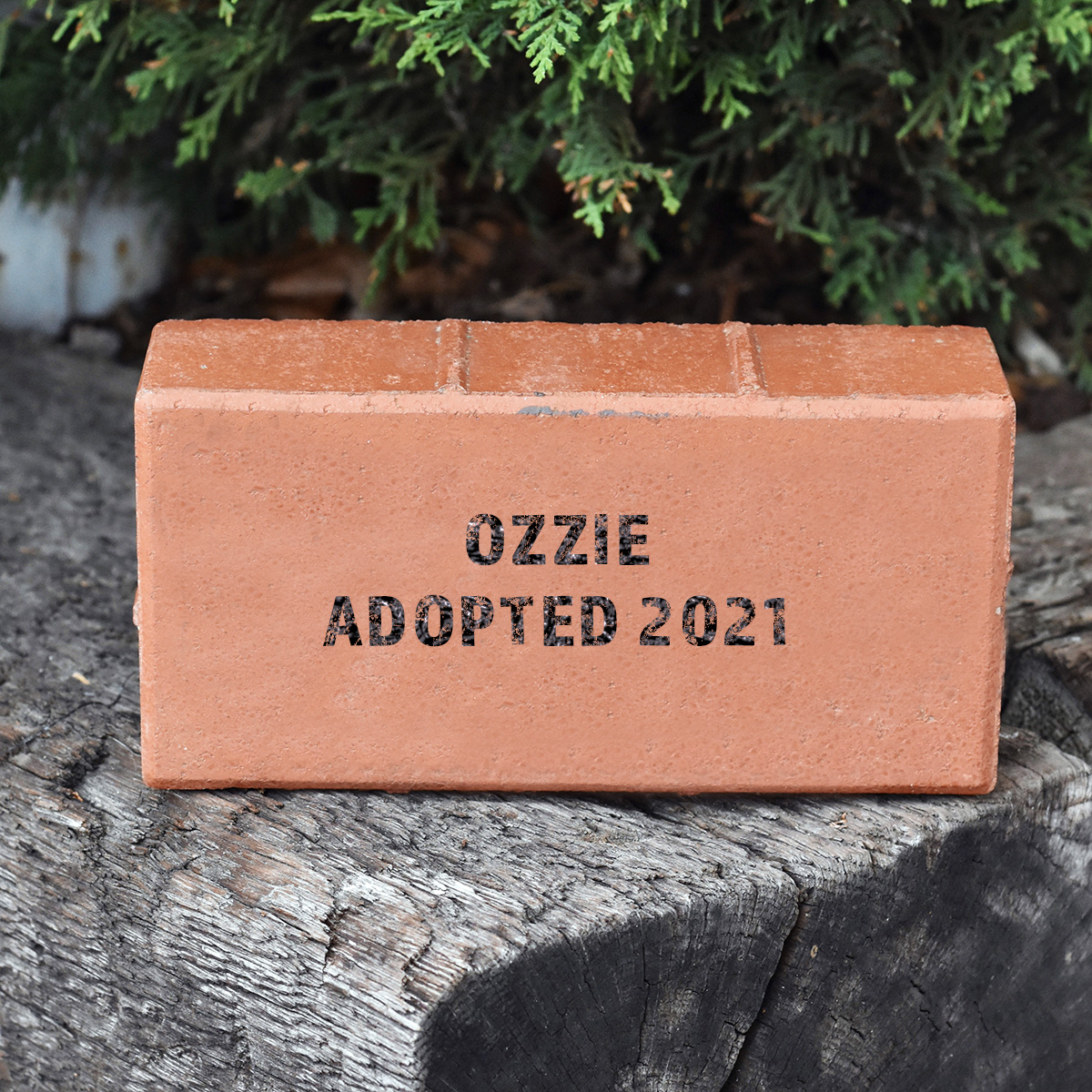 DSC_0396_LDCRF-brick-sample_Ozzie_adopted_1200x1200px